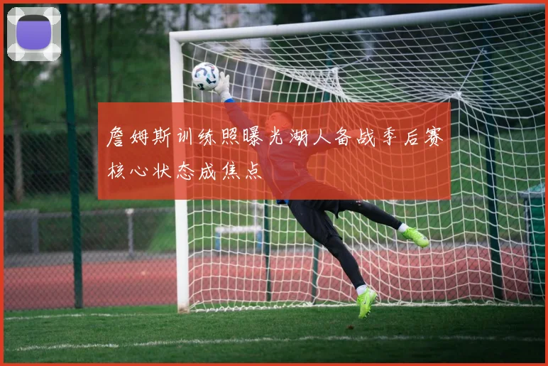 詹姆斯训练照曝光湖人备战季后赛核心状态成焦点