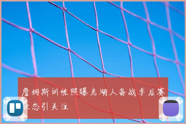 詹姆斯训练照曝光湖人备战季后赛状态引关注