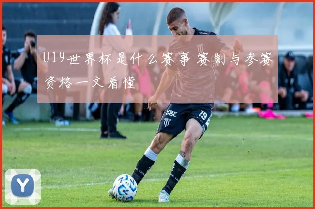 U19世界杯是什么赛事 赛制与参赛资格一文看懂