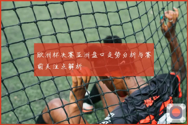 欧洲杯决赛亚洲盘口走势分析与赛前关注点解析