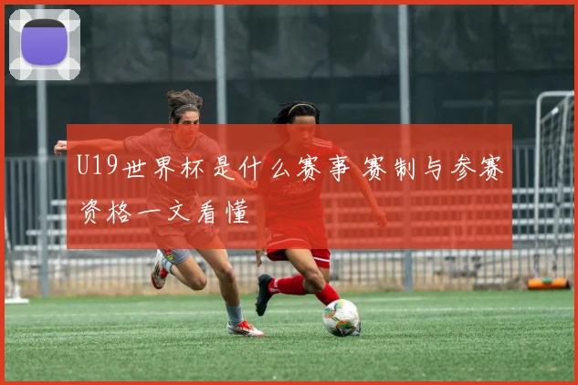 U19世界杯是什么赛事 赛制与参赛资格一文看懂